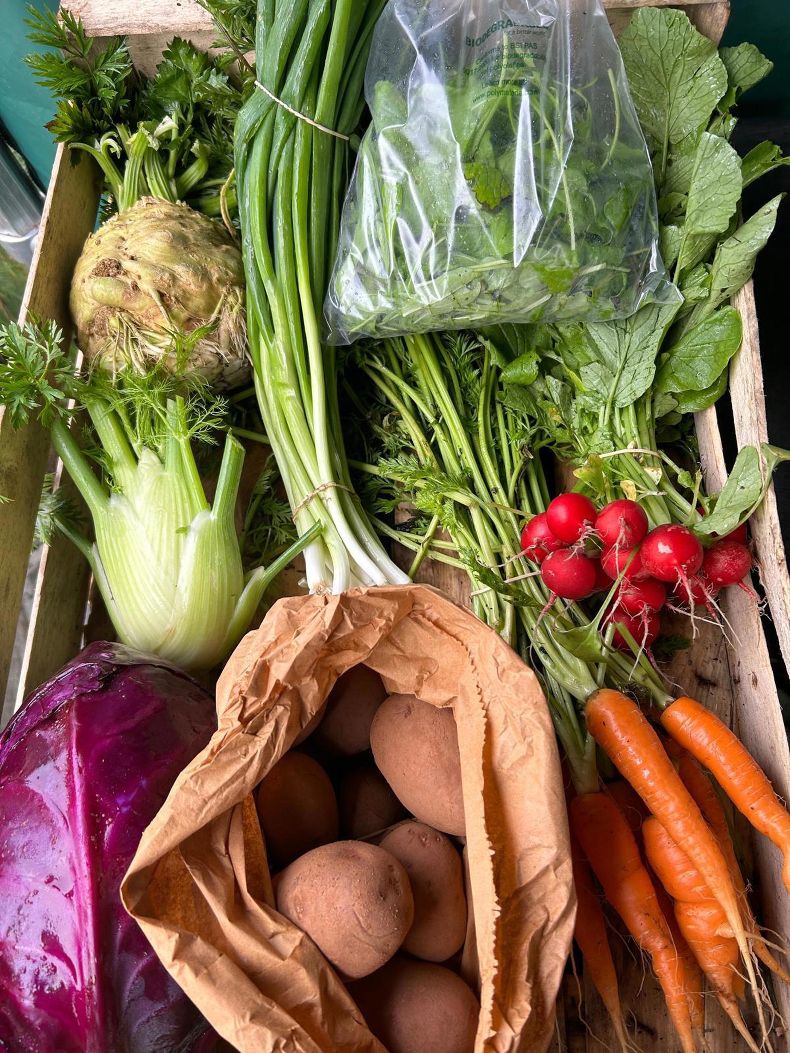Medium Veg Box