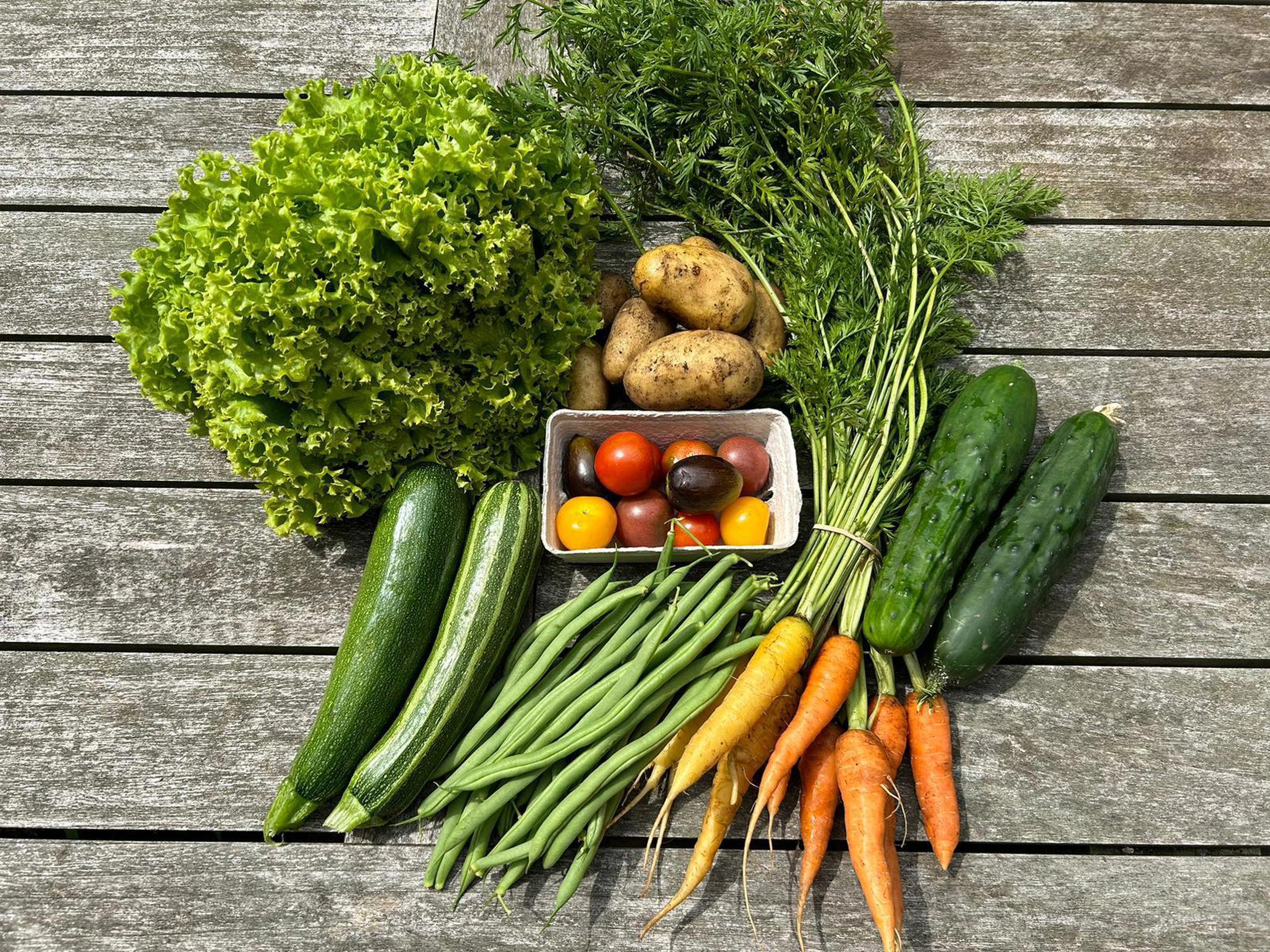 Small Veg Box